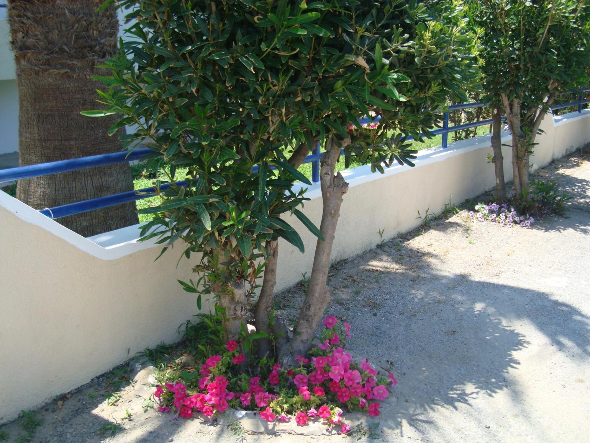 Philippos Studios & Apartments Kardamena  Exterior photo